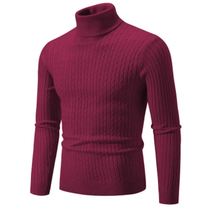 Mason casual cotton turtleneck